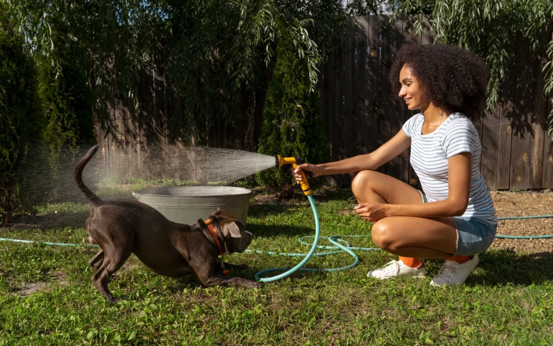 Perros y calor: cómo mantenerlos activos y felices durante el verano en Madrid