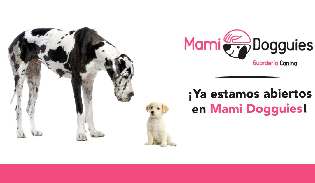 ¡Hola humanos y mascotas!