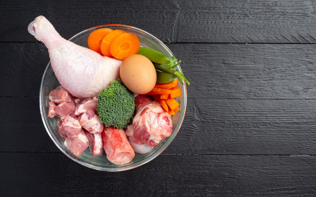 Dieta BARF para perros. ¿En qué consiste?￼