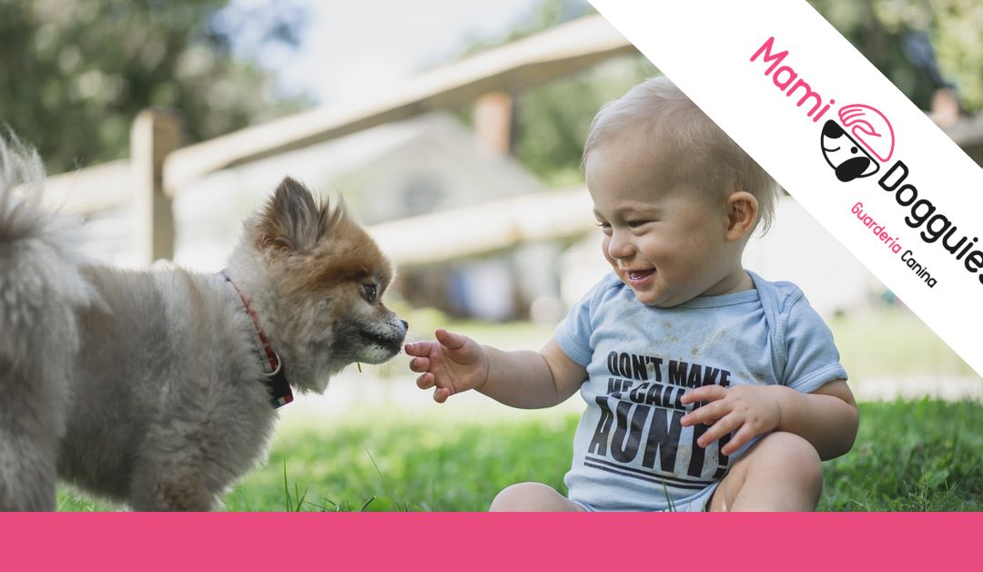 ¿Cómo trabajar la convivencia entre perros y niños en casa?