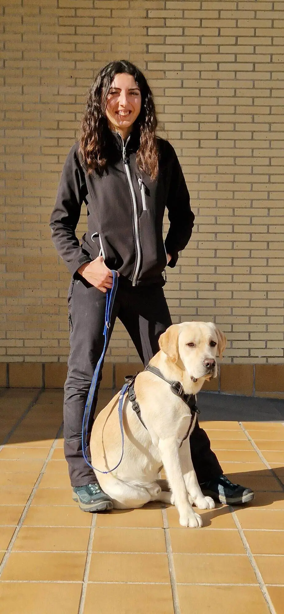 entrenamiento-para-perros-con-adiestradores-en-madrid-mami-dogguies-5
