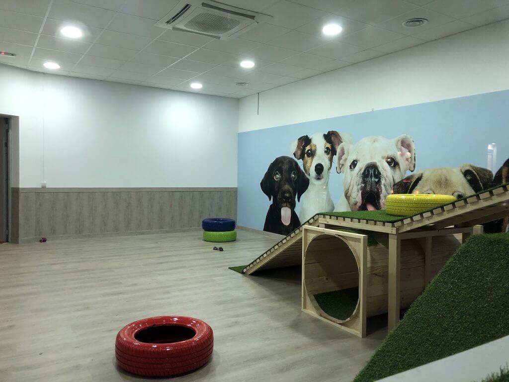 instalaciones guarderia de perros en madrid mami dogguies 1