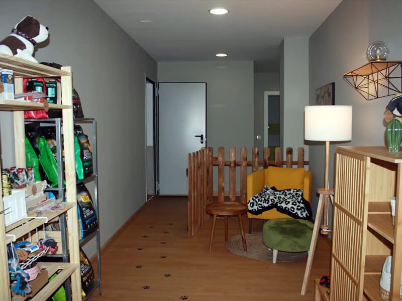 instalaciones guarderia de perros en madrid mami dogguies 4