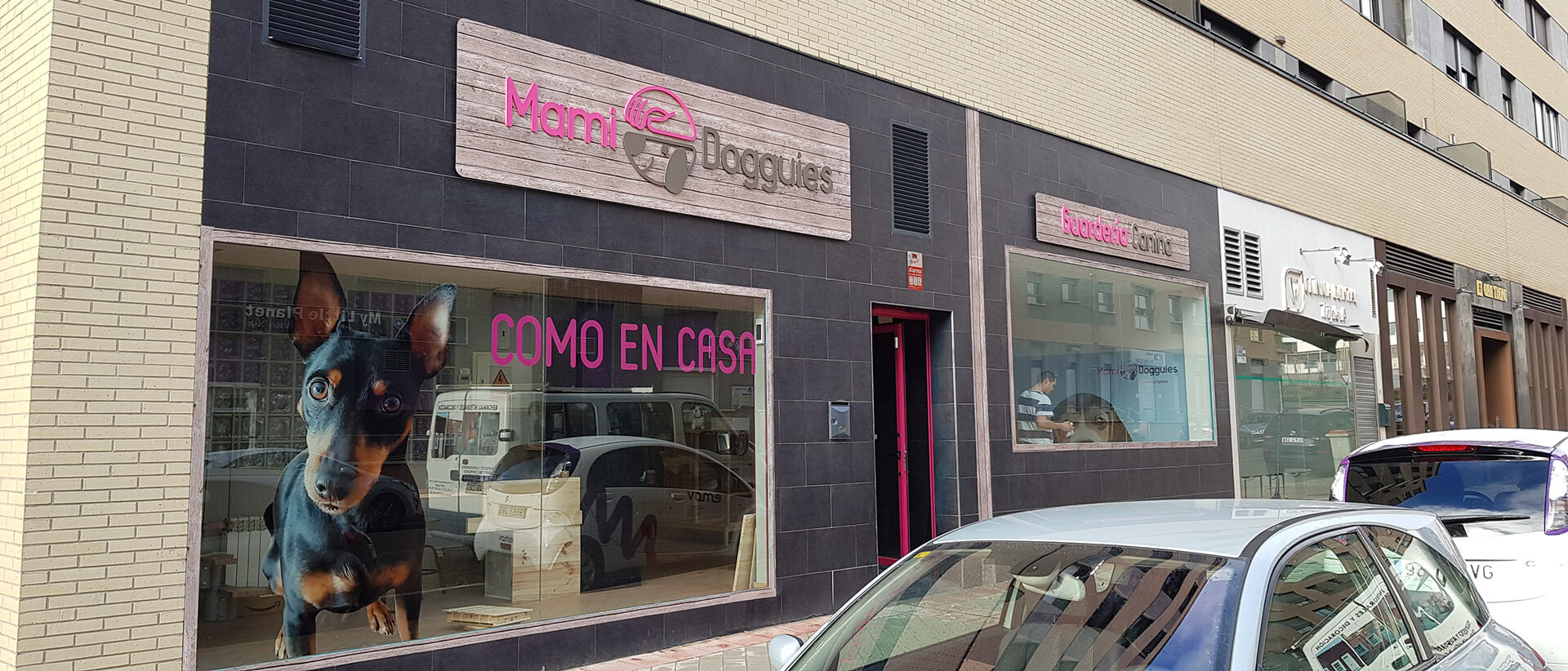 instalaciones guarderia de perros en madrid mami dogguies 8