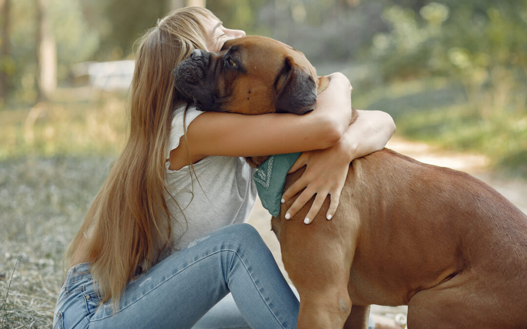 ¿Cómo es la nueva ley de Protección Animal en España?￼