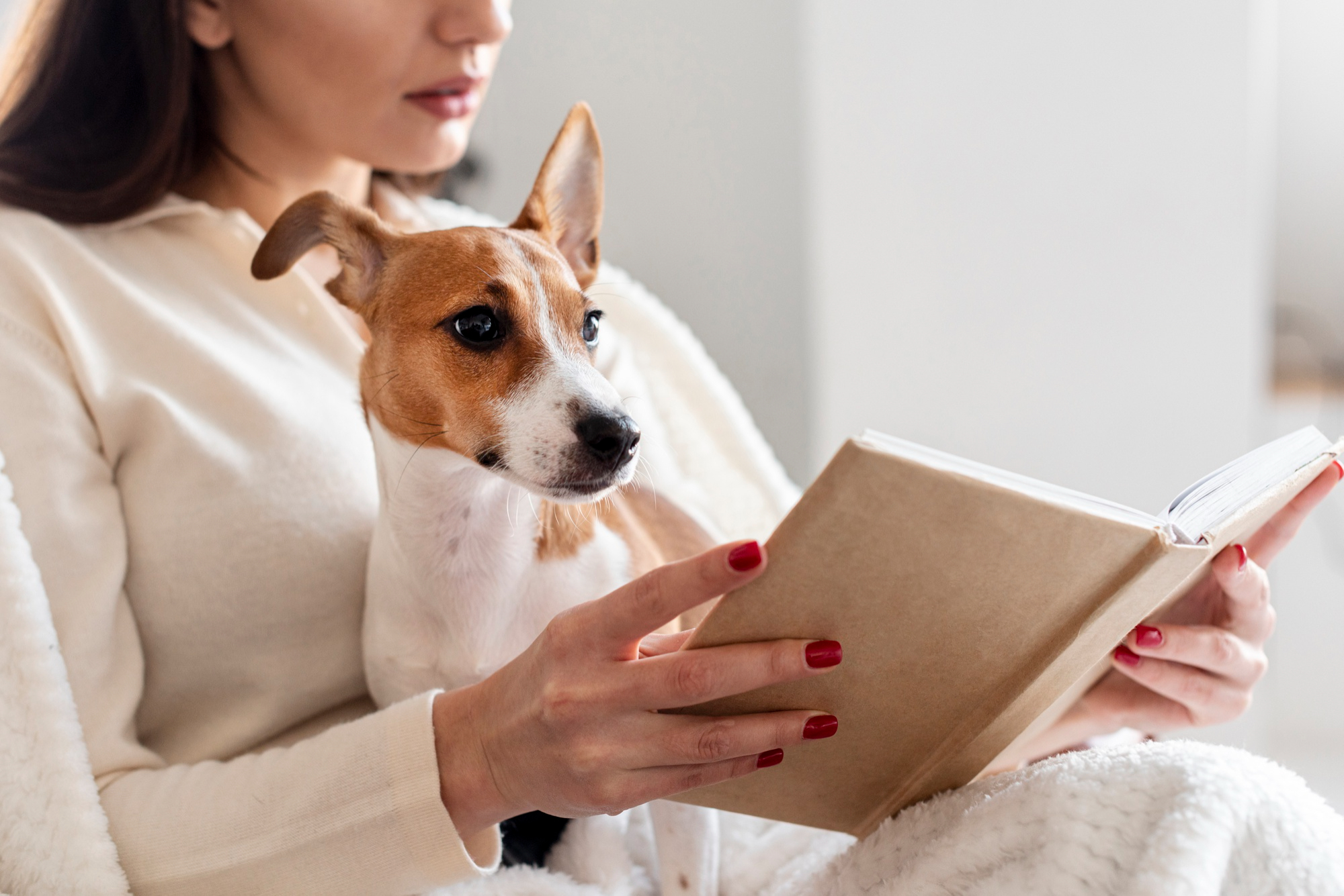 libros de perros