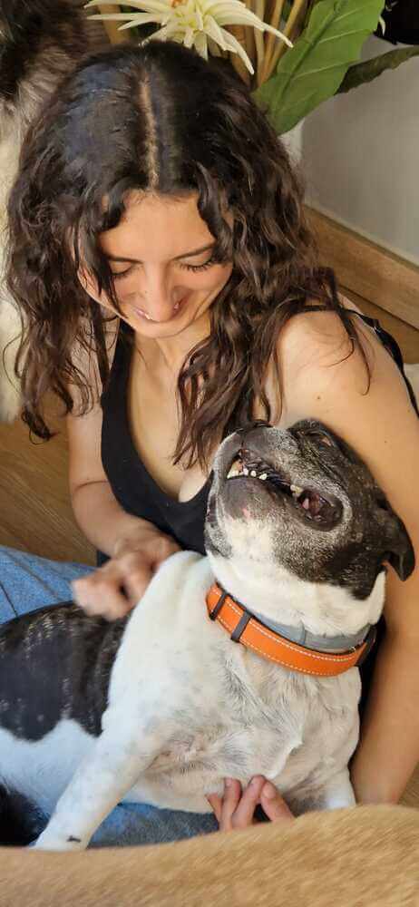 mami dogguies guarderia canina en madrid 6