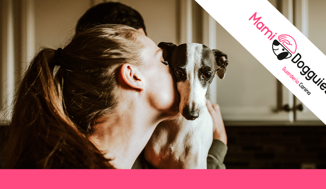 Los mejores libros sobre perros para amantes de los animales￼