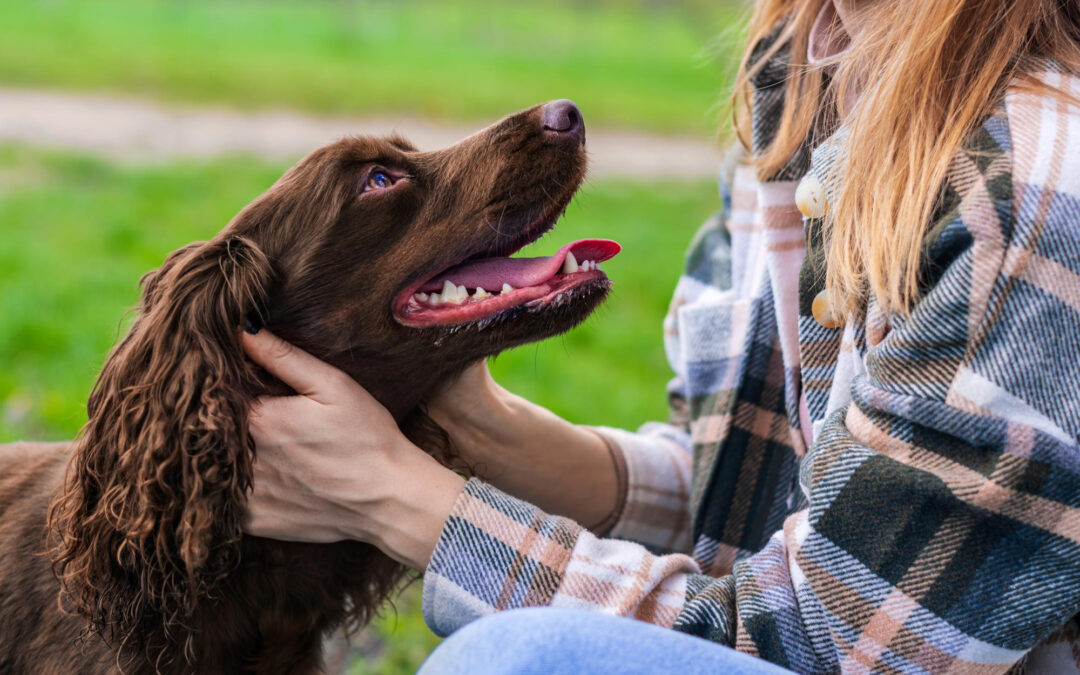 Beneficios de tener perro: por qué es bueno para tu salud