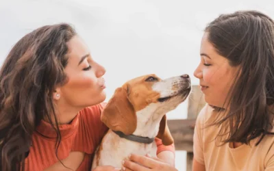 Cómo socializar correctamente a tu perro adulto (aunque sea tímido o miedoso)